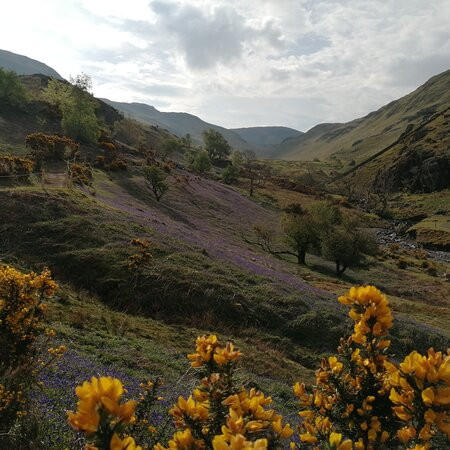 Rannerdale Knotts景点图片