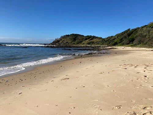 Shelly Beach-麦克夸利港必去景点