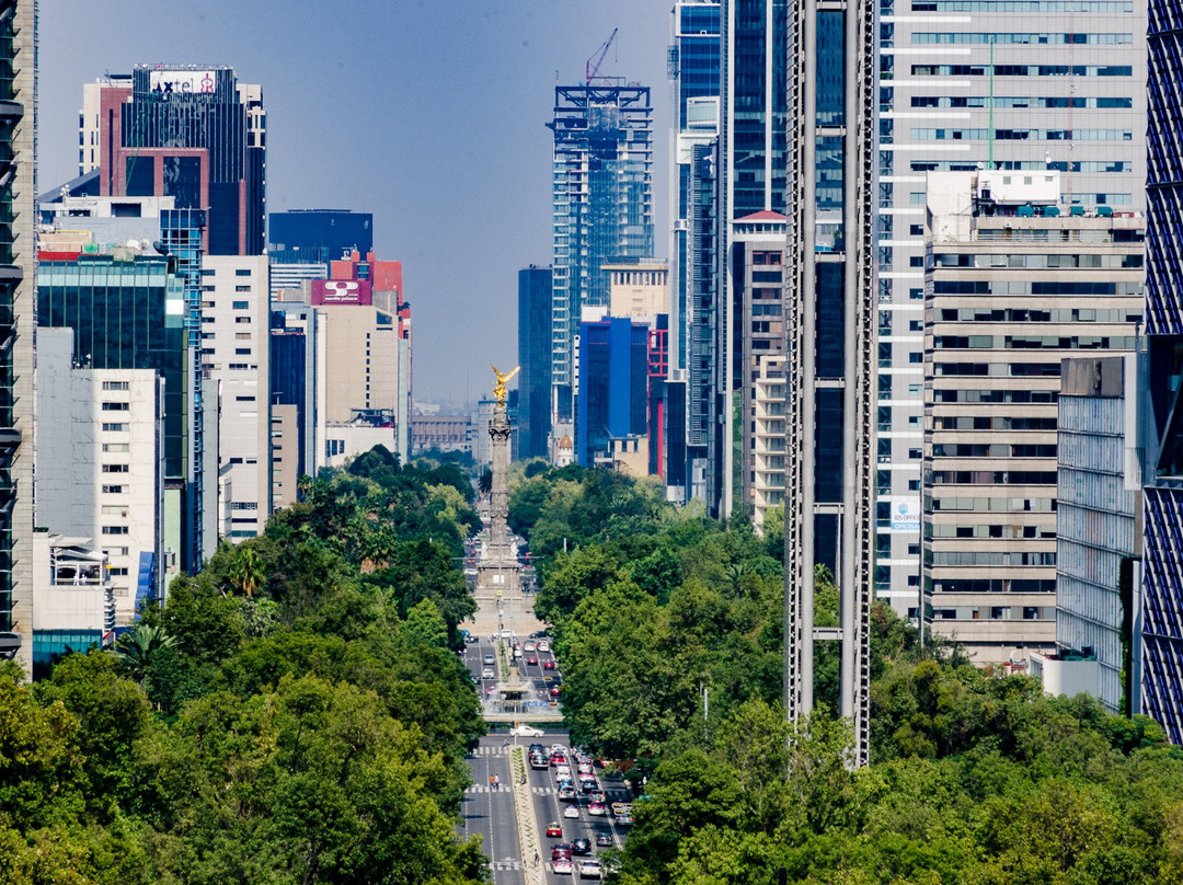 改革大道景点图片