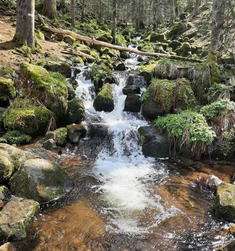 Cascade de la Serva-Natzwiller必去景点