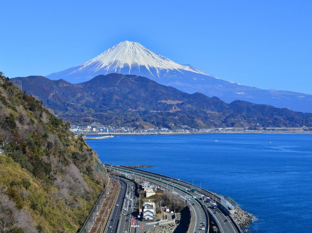 静冈市旅游攻略图片