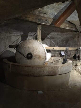 MOOM Matera Olive Oil Museum景点图片