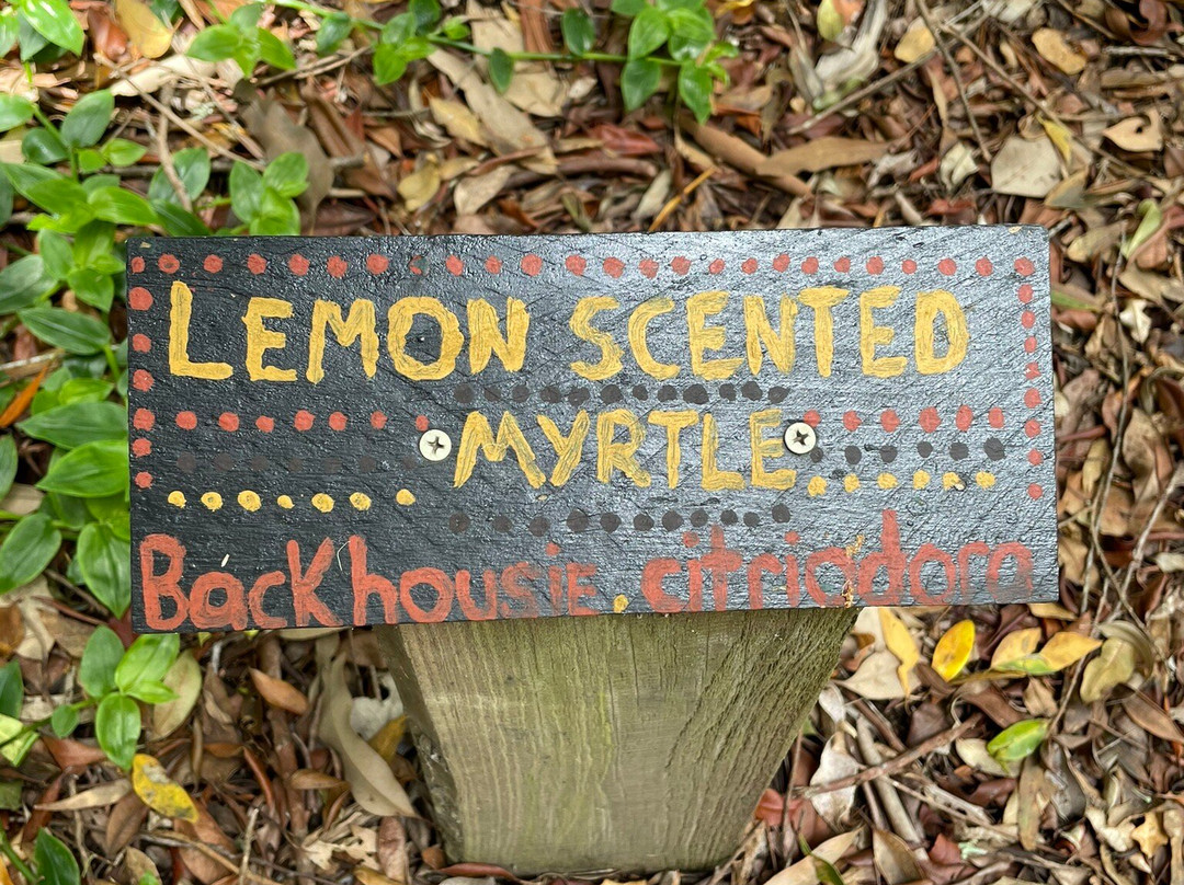 Wigay Aboriginal Cultural Park