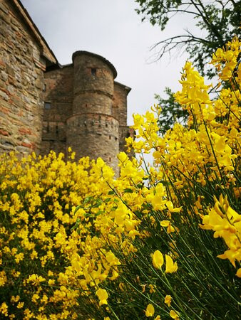 Rocca D'aries景点图片