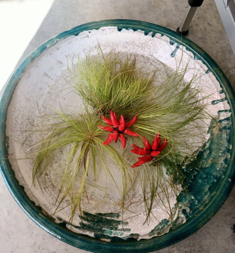 Port Elliot Traditional Kaili Massage, waxing and Beauty-Port Elliot必去景点