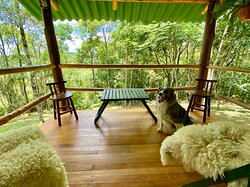 RPPN Ninho do Corvo-Prudentopolis必去景点