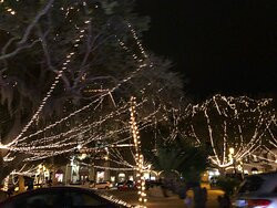 St Augustine Land and Sea Tours-圣奥古斯丁必去景点