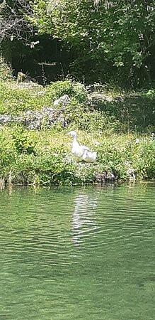Parco Naturale la Sponga景点图片
