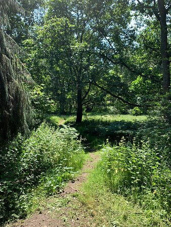 Bolam Lake Country Park-Belsay必去景点