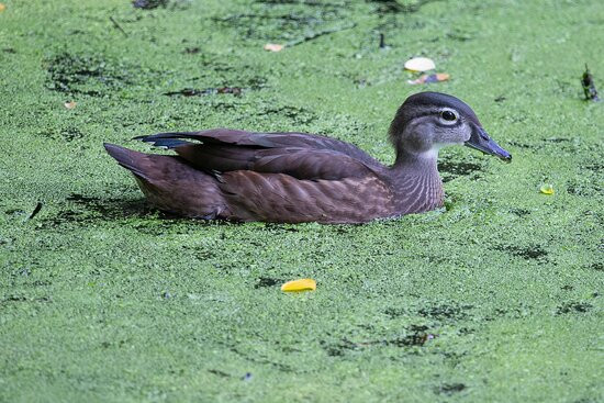 Avalon Park & Preserve-Stony Brook必去景点