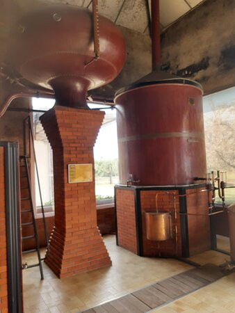 Domaine de la Pommeraie景点图片