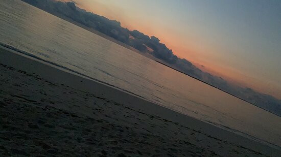 Sunny Palms Beach Bungalows主图