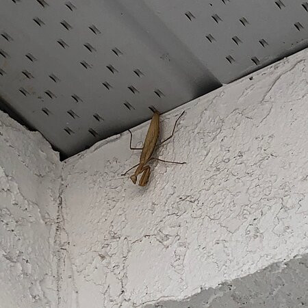 Grand Forks Inn主图