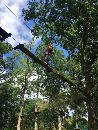Là-Haut Aventure Park-Leon必去景点