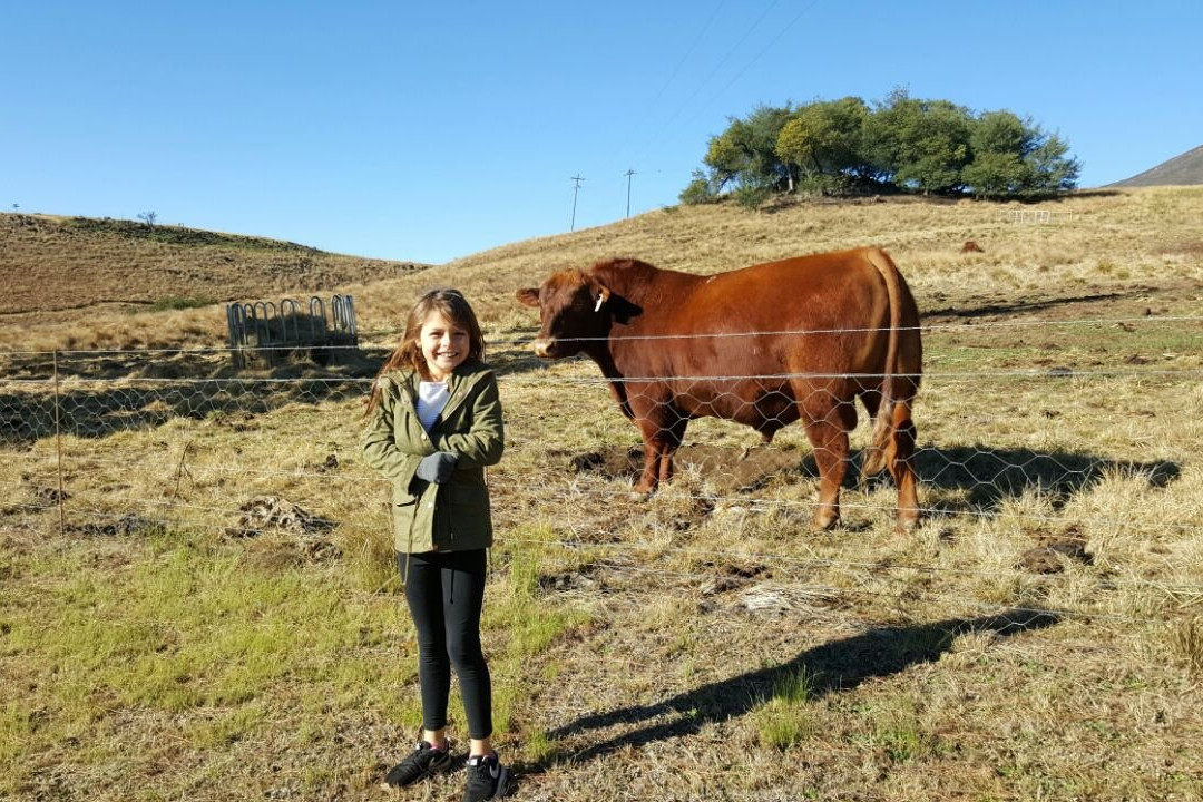 Copperleigh Trout Cottages主图