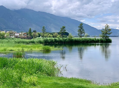 喜洲甲科第文化民宿主图