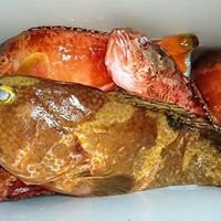 Ryokan Tanoura Onsen主图