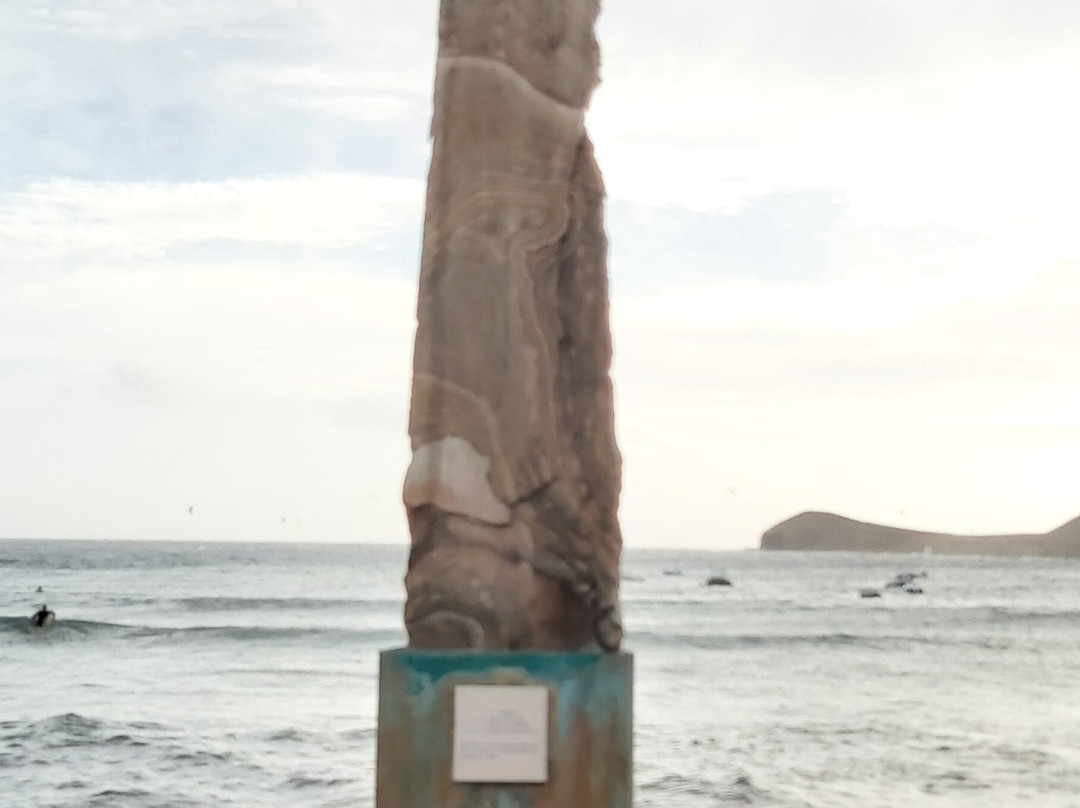 Aguja Piedra El Medano