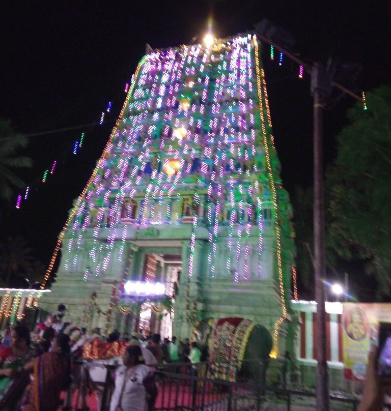 Arulmigu Balasubramanya Temple景点图片