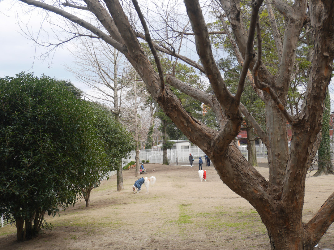 Beppu Municipal Dog Run景点图片