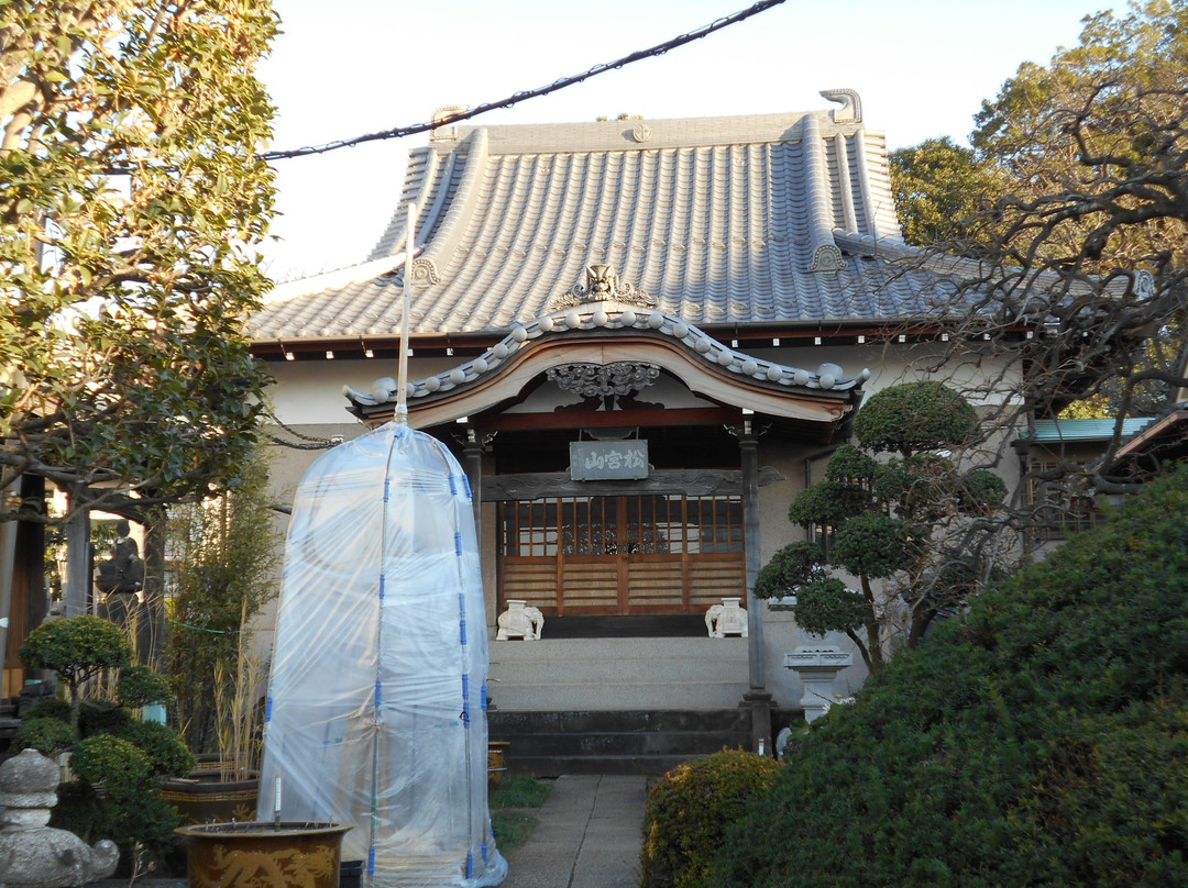 Senshin-ji Temple景点图片