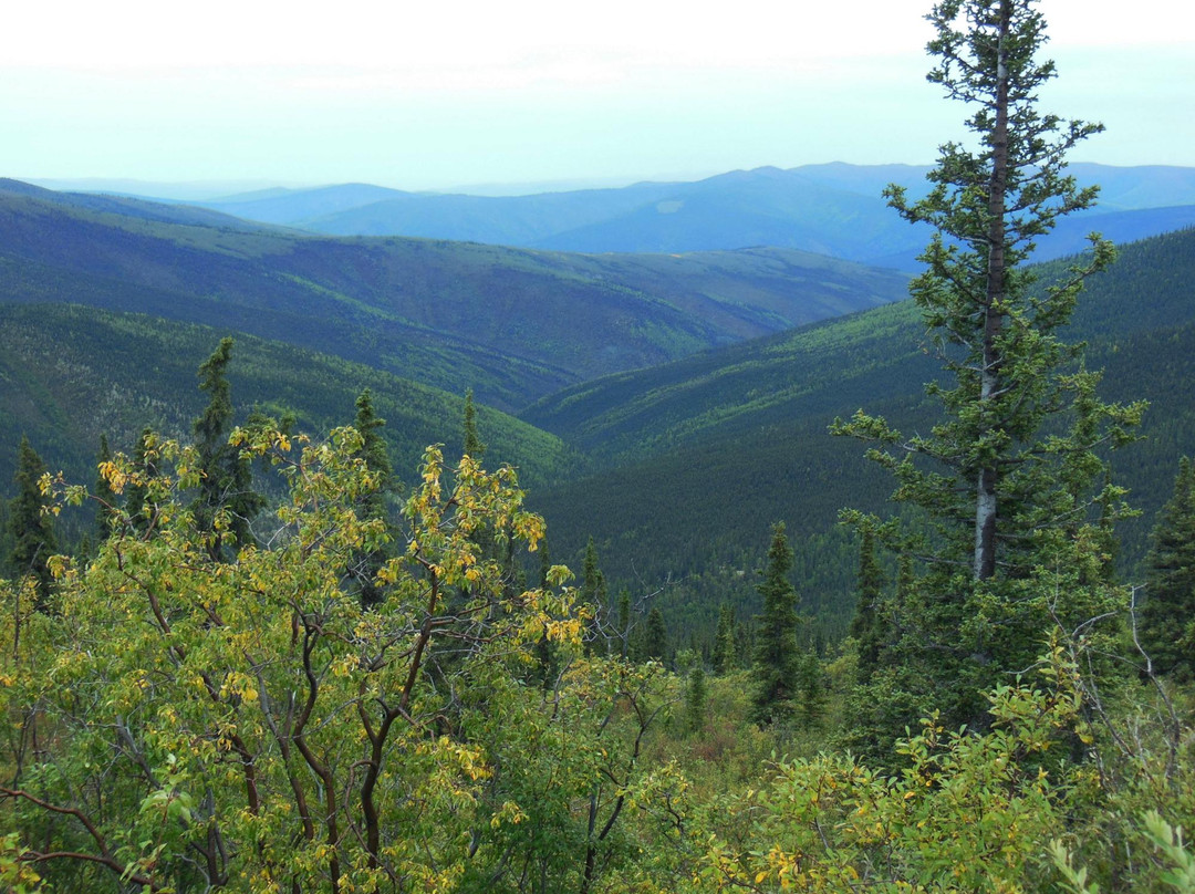 Tok旅游攻略图片
