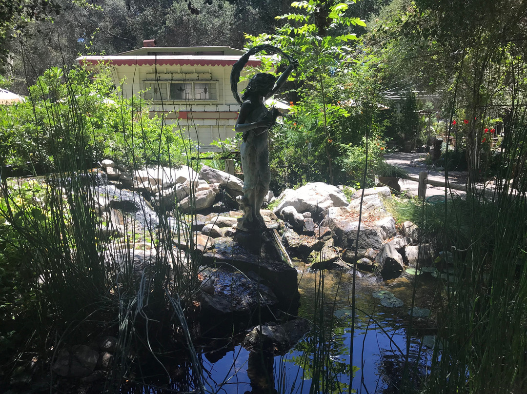 Fallbrook旅游攻略图片