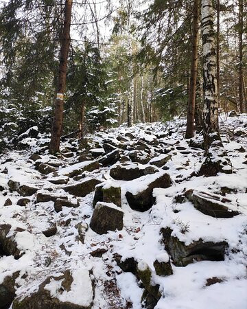 Makovytsia Mountain-Yaremche必去景点