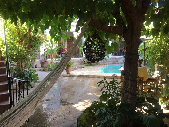 El Viejo Molino主图