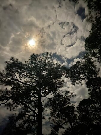 Bald Point State Park-Alligator Point必去景点