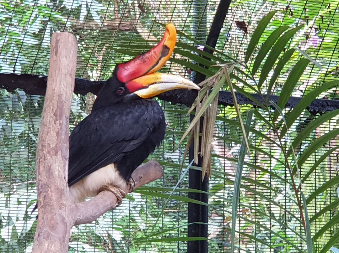 Taman Tumbina-宾图卢必去景点