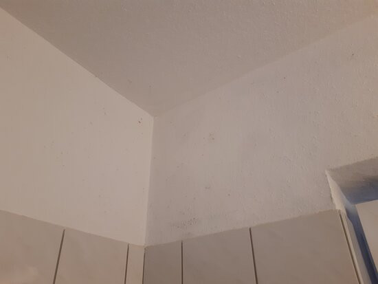 Landal Salztal Paradies主图