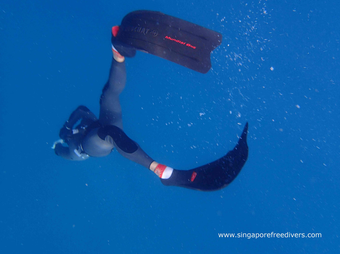Singapore Freedivers-新加坡必去景点