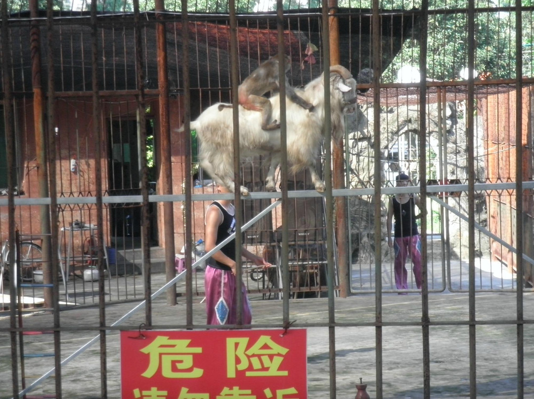 厦门海沧野生动物园景点图片