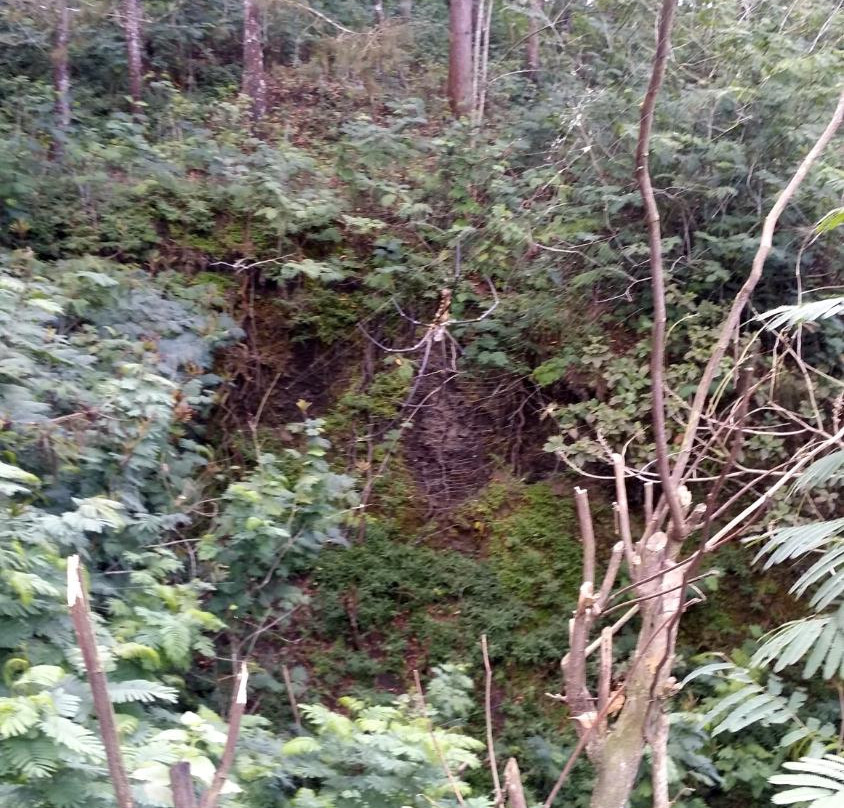 Mount Batur Trekking-金塔马尼必去景点
