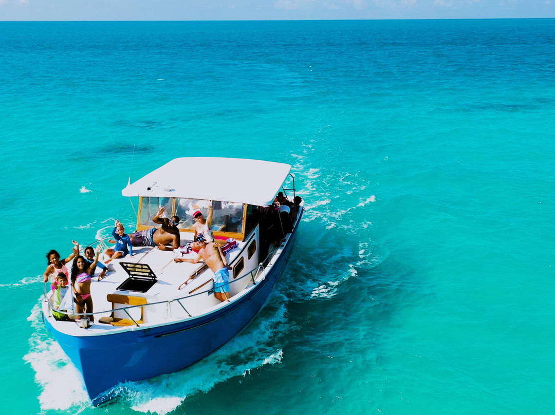 Mona Lisa Cruises-汉密尔顿必去景点