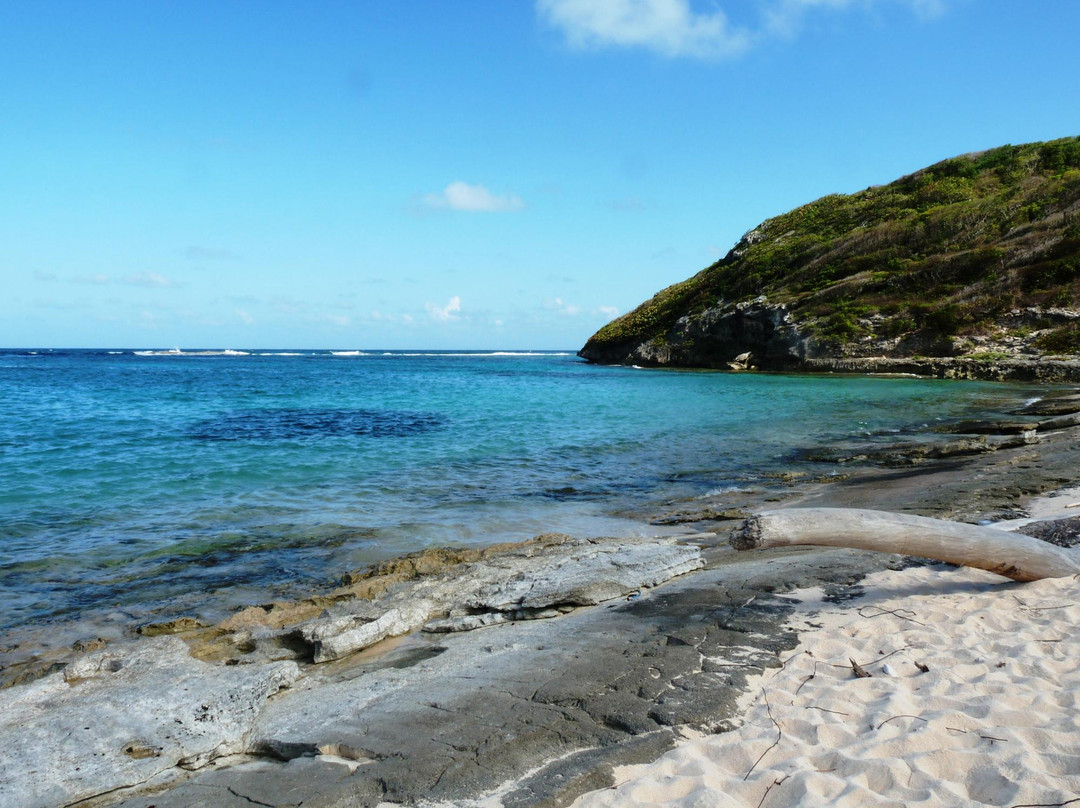 Marie-Galante旅游攻略图片