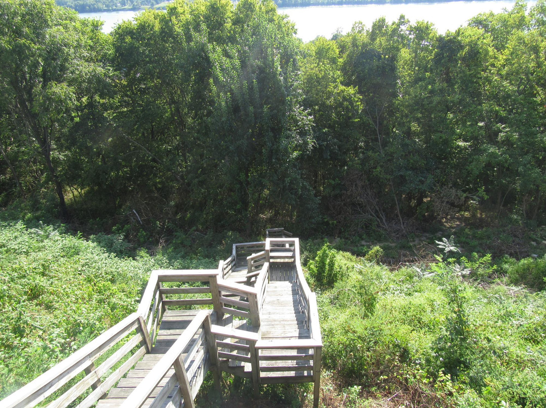 Ripley旅游攻略图片