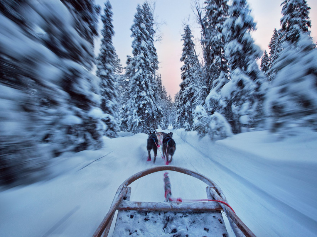 哈士奇雪橇之旅-罗瓦涅米必去景点