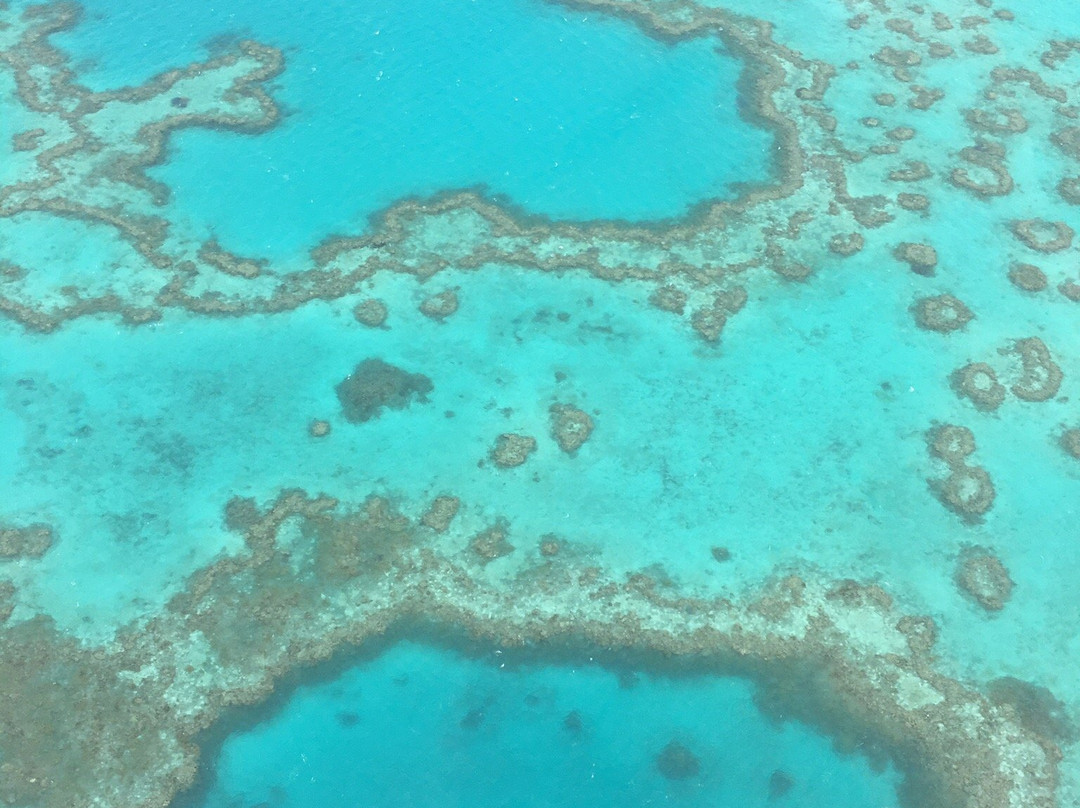 Great Barrier Reef景点图片