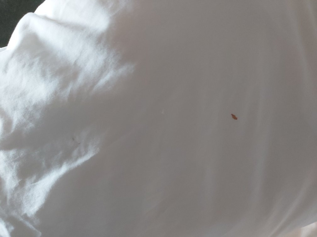 Heritage Inn Hotel & Convention Centre主图