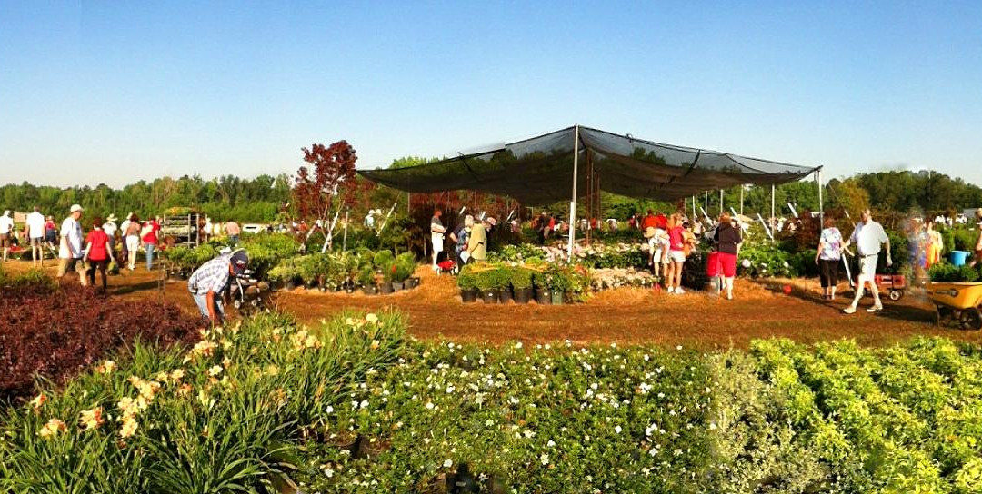 Thomson旅游攻略图片