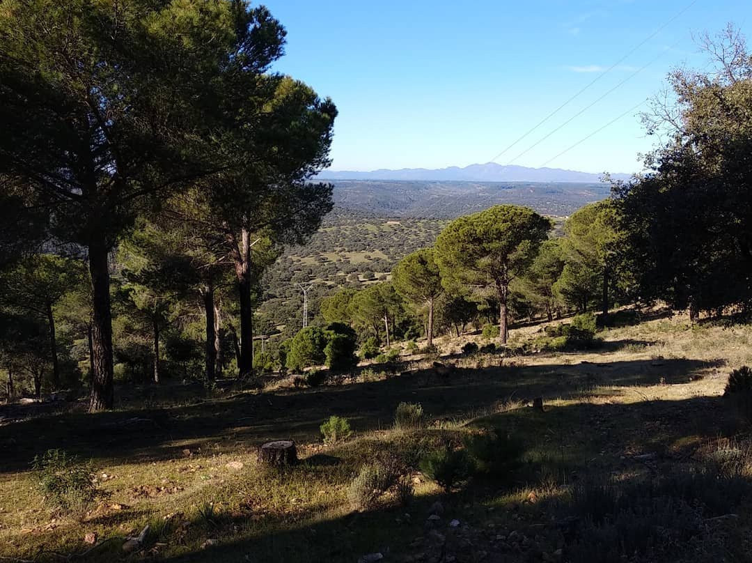 Casas Rurales Cijara