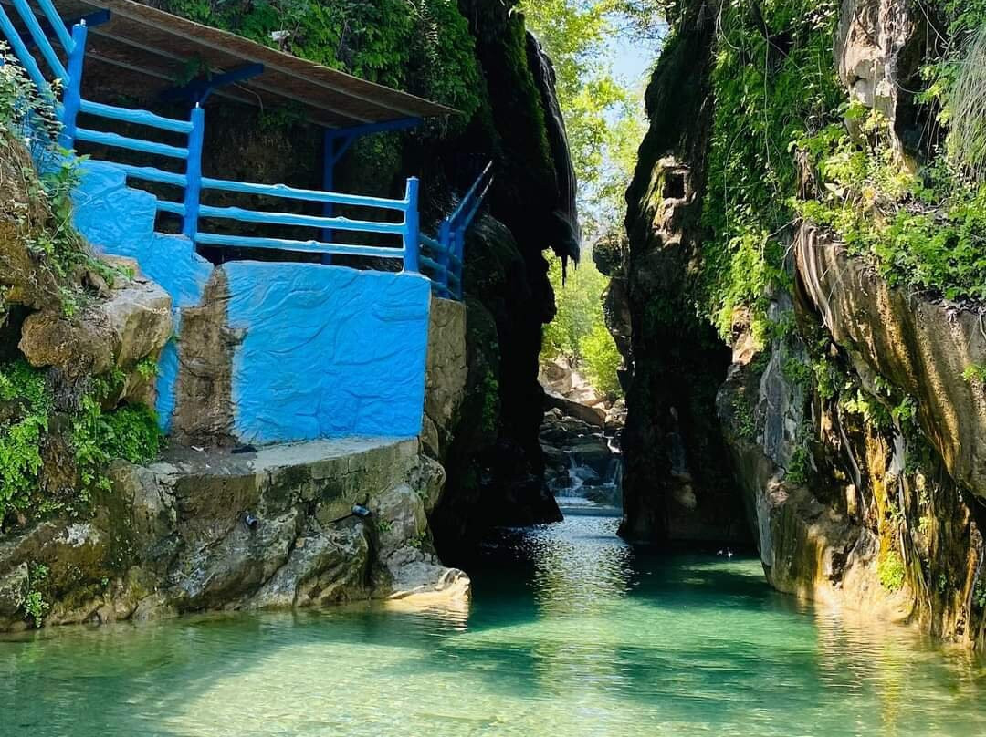 Avasheen Gelye Sherane Resort