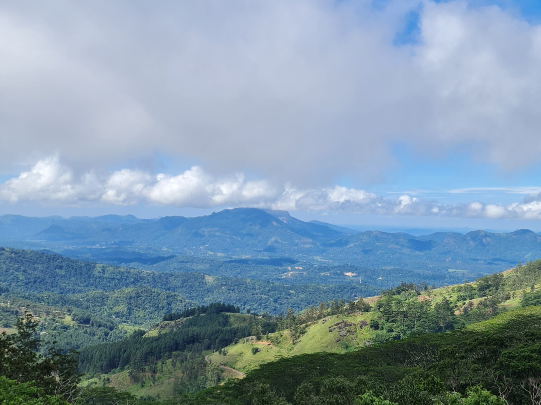 Rattota旅游攻略图片
