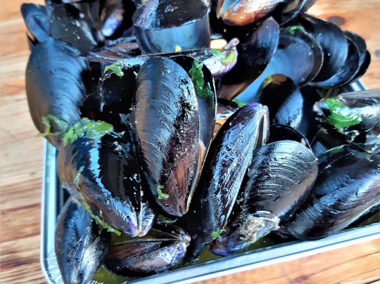 Caligo Guercio主图