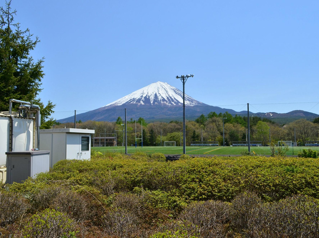Michi-no-Eki Narusawa景点图片