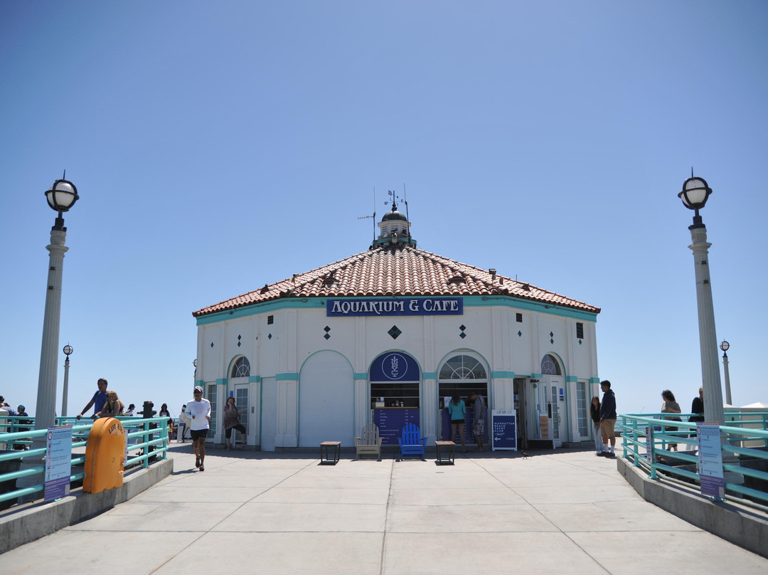 曼哈顿海滩旅游景点-Roundhouse Marine Studies Lab and Aquarium