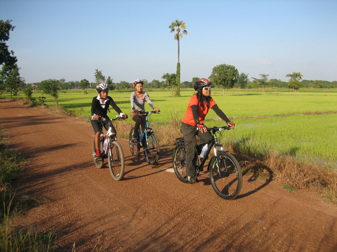 Sukhothai Bicycle Tour景点图片