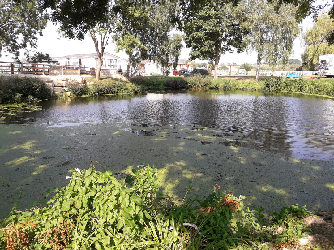 Yarwell Mill Country Park景点图片